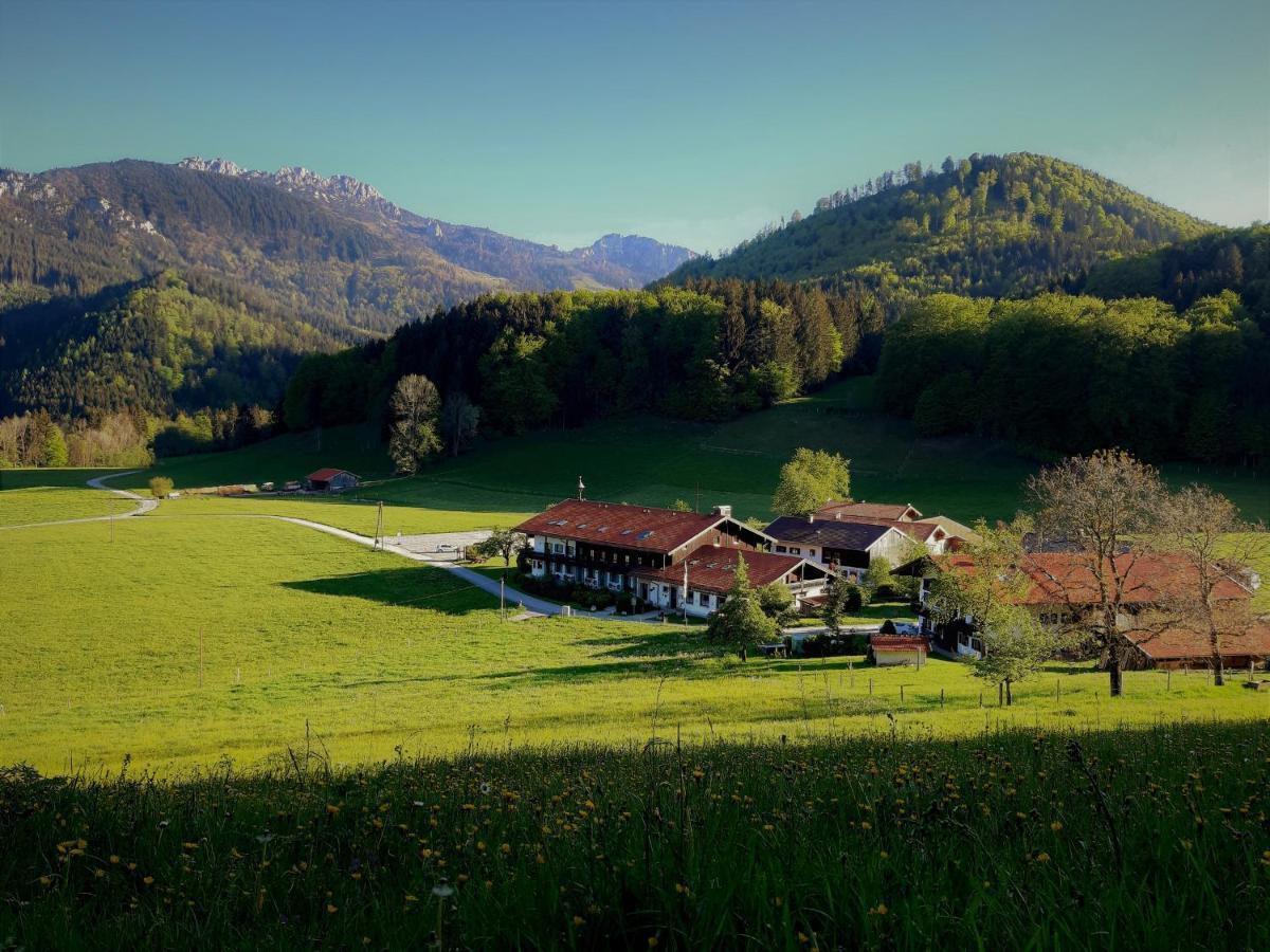 Gschwendtnerhof App10 Krausw Διαμέρισμα Aschau im Chiemgau Εξωτερικό φωτογραφία